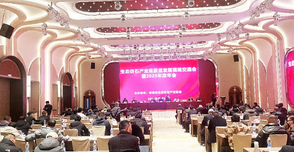 共探生态仿石新路径，青岛迪凯亮相安徽省产业协会年会！